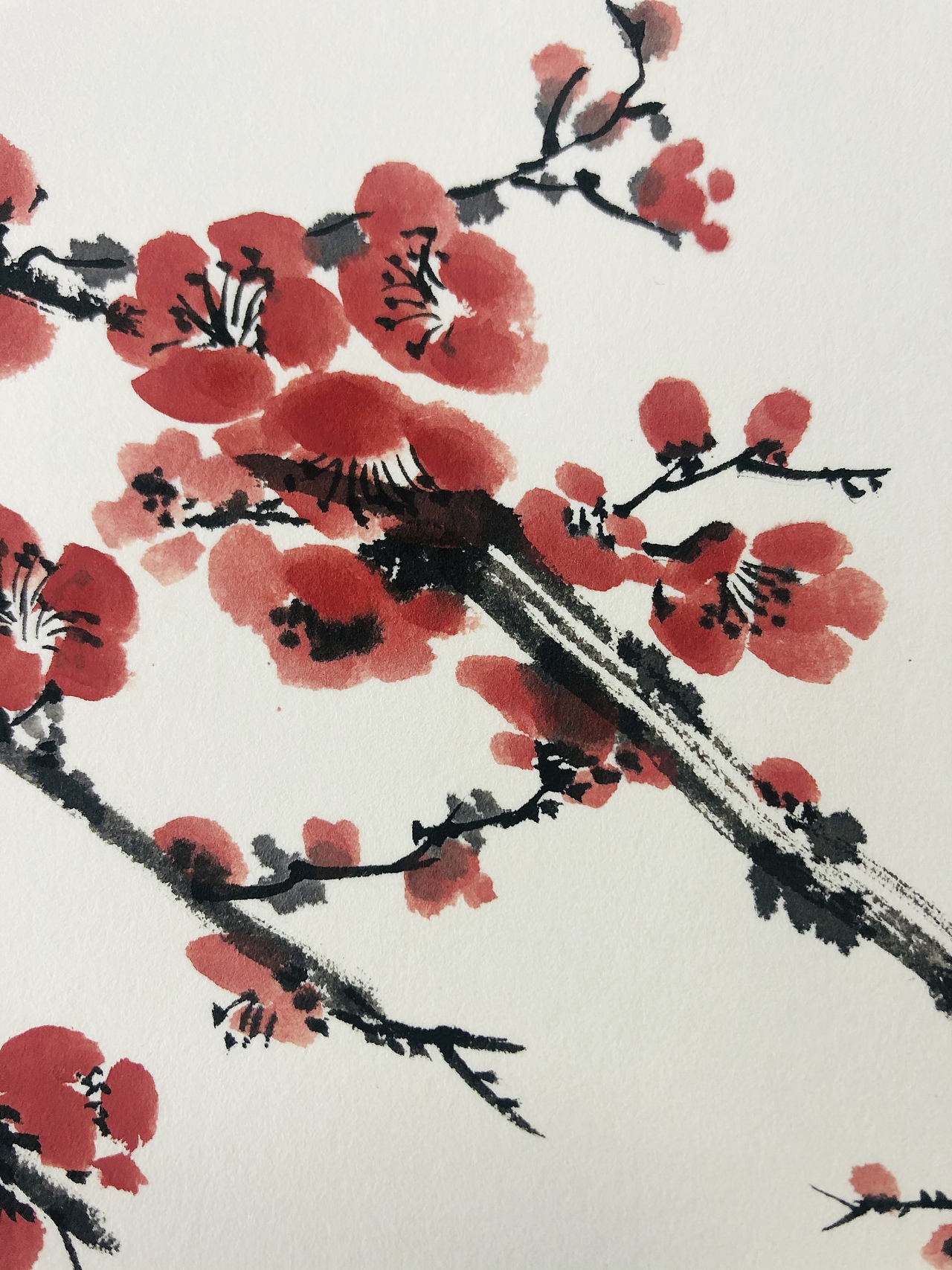 梅花-竹影和诗瘦,梅花入梦香|纯艺术|绘画|a倩baby - 原创作品 - 站酷