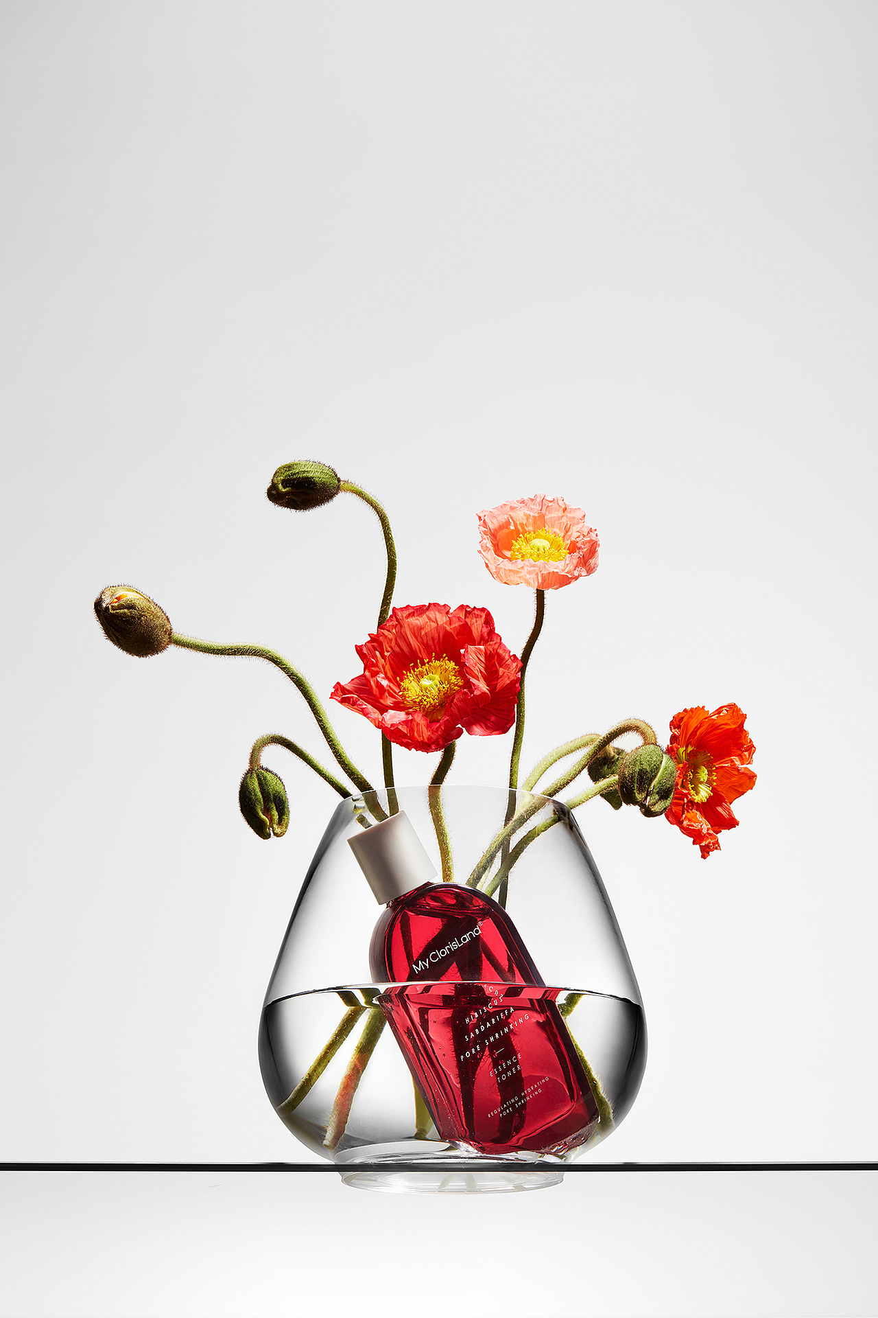 等花开的摄影师|JC