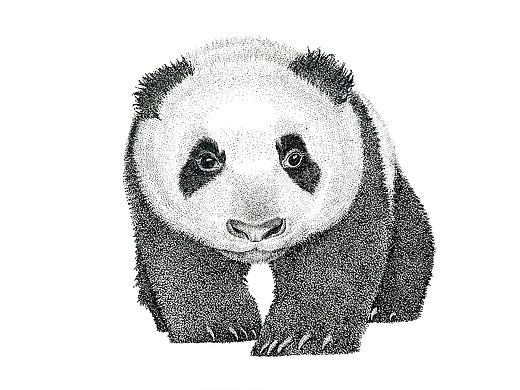 钢笔画-动物系列（个人主页-ZMjc5MDkzNjQ=） - 绘画 - 站酷设计师茹果RG原创素材 - 站酷ZCOOL