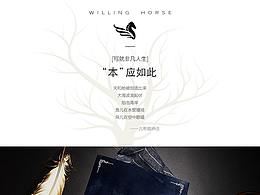 淘宝详情页