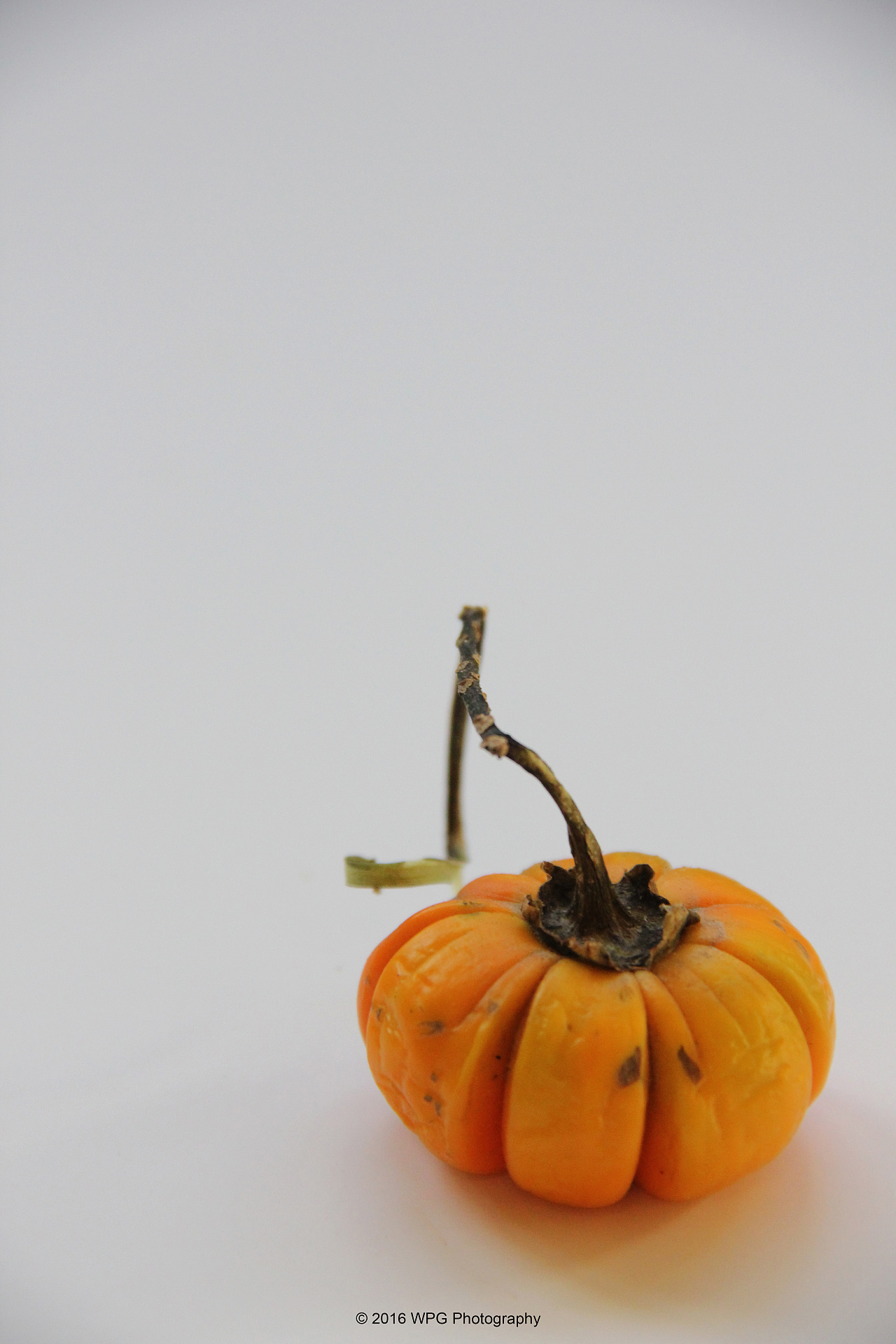 《 茄子南瓜心 》