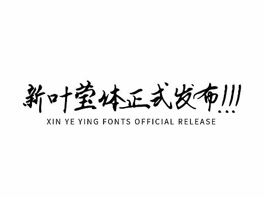 新叶莹体正式发布！！！
