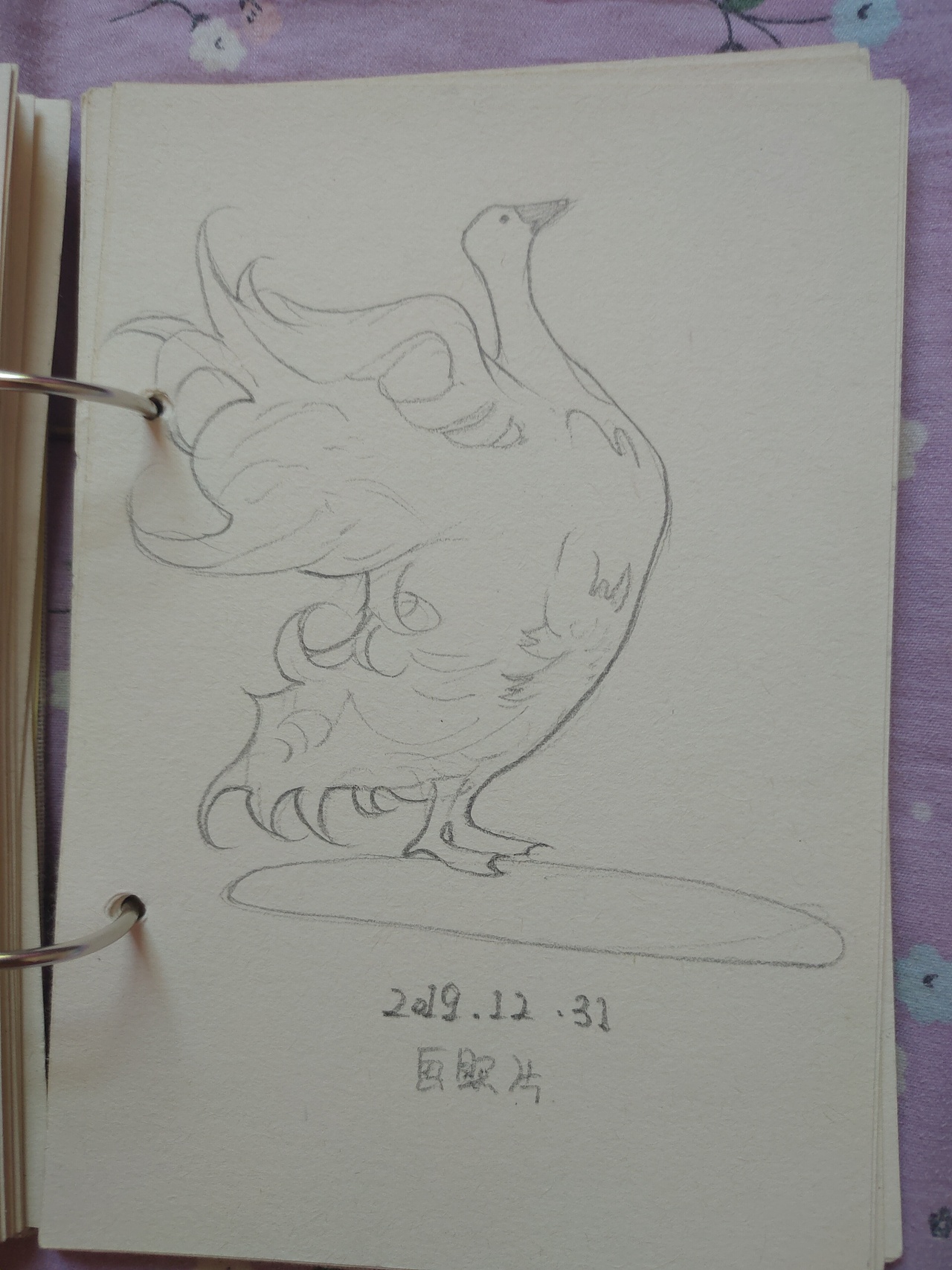 从一九年开始的心情记录本