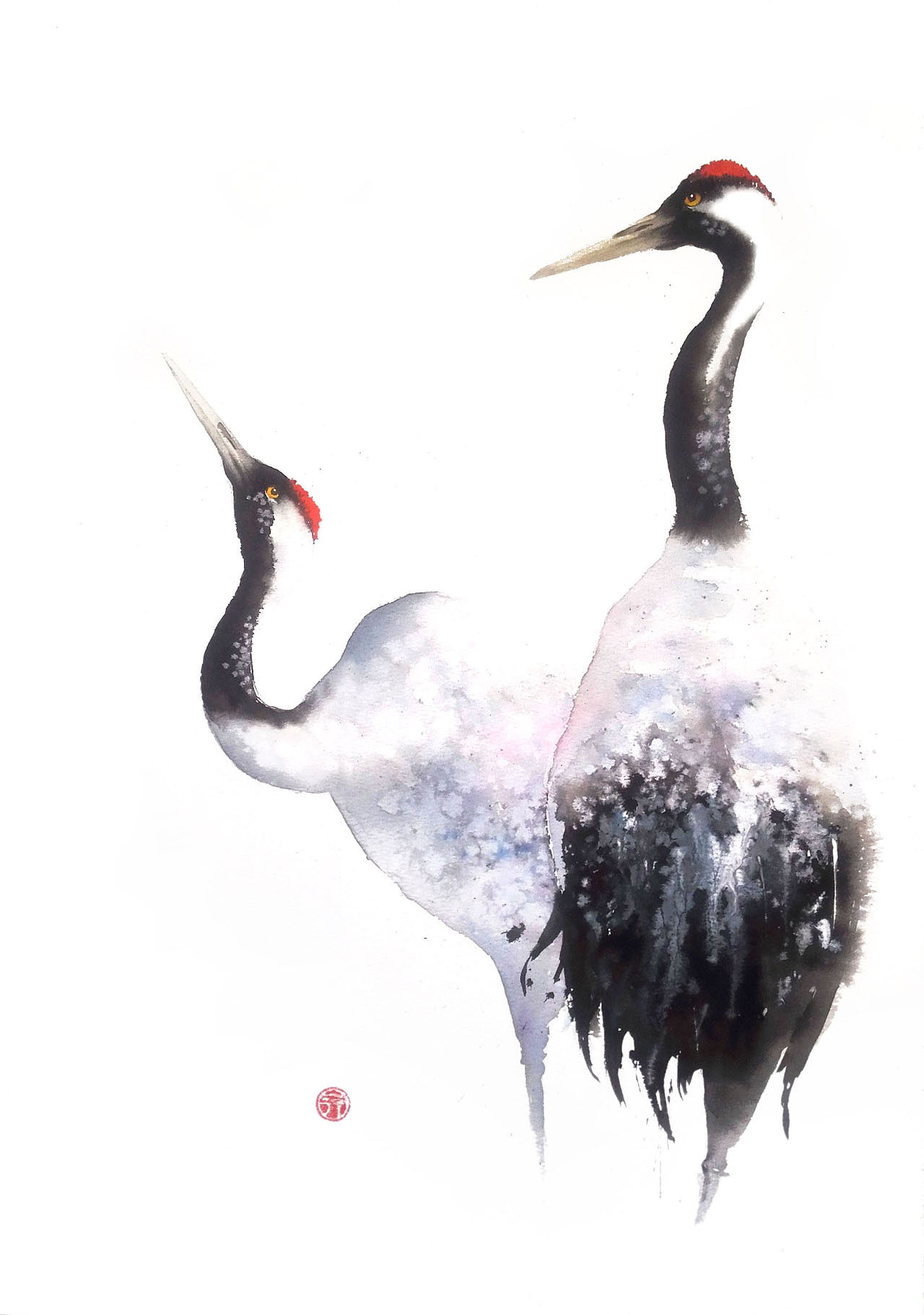 【一行写意水彩画】黑颈鹤——云在青天水在瓶