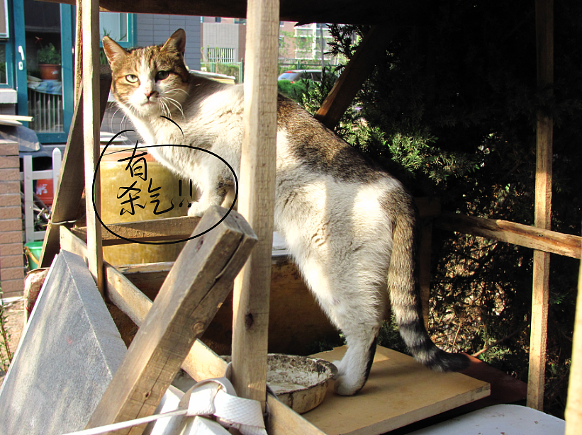 我结交了一群新朋友（图ZMjc2MjE2Njg=） - 文案/策划 - 站酷设计师画师x如也原创素材 - 站酷ZCOOL