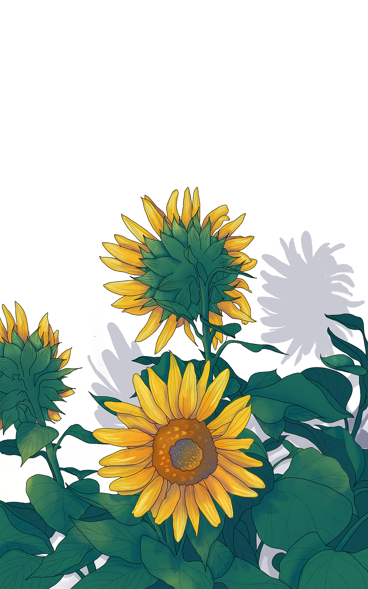 向日葵壁纸