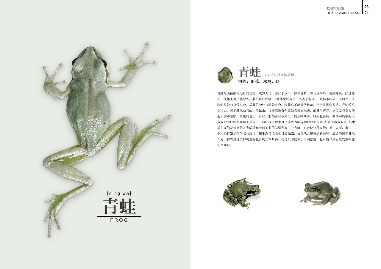 消逝的影像——我们身边的“他们”系列书籍版式设计（图ZMTcwNDUzNDg=） - 书籍/画册 - 站酷设计师盐菜原创素材 - 站酷ZCOOL