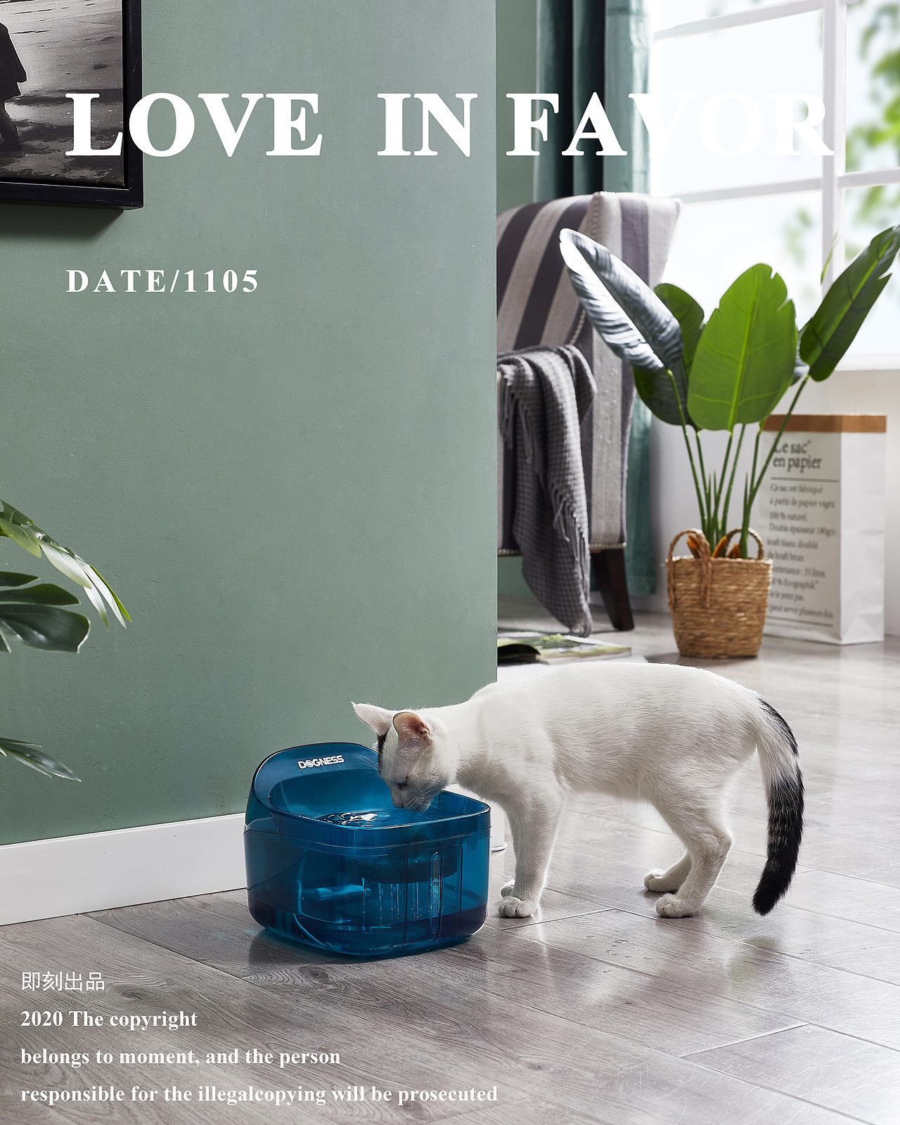 宠物饮水机/宠物周边产品/宠物用品（图ZMjMwODY4NjM2） - 产品摄影 - 站酷设计师东莞即刻摄影广告原创素材 - 站酷ZCOOL