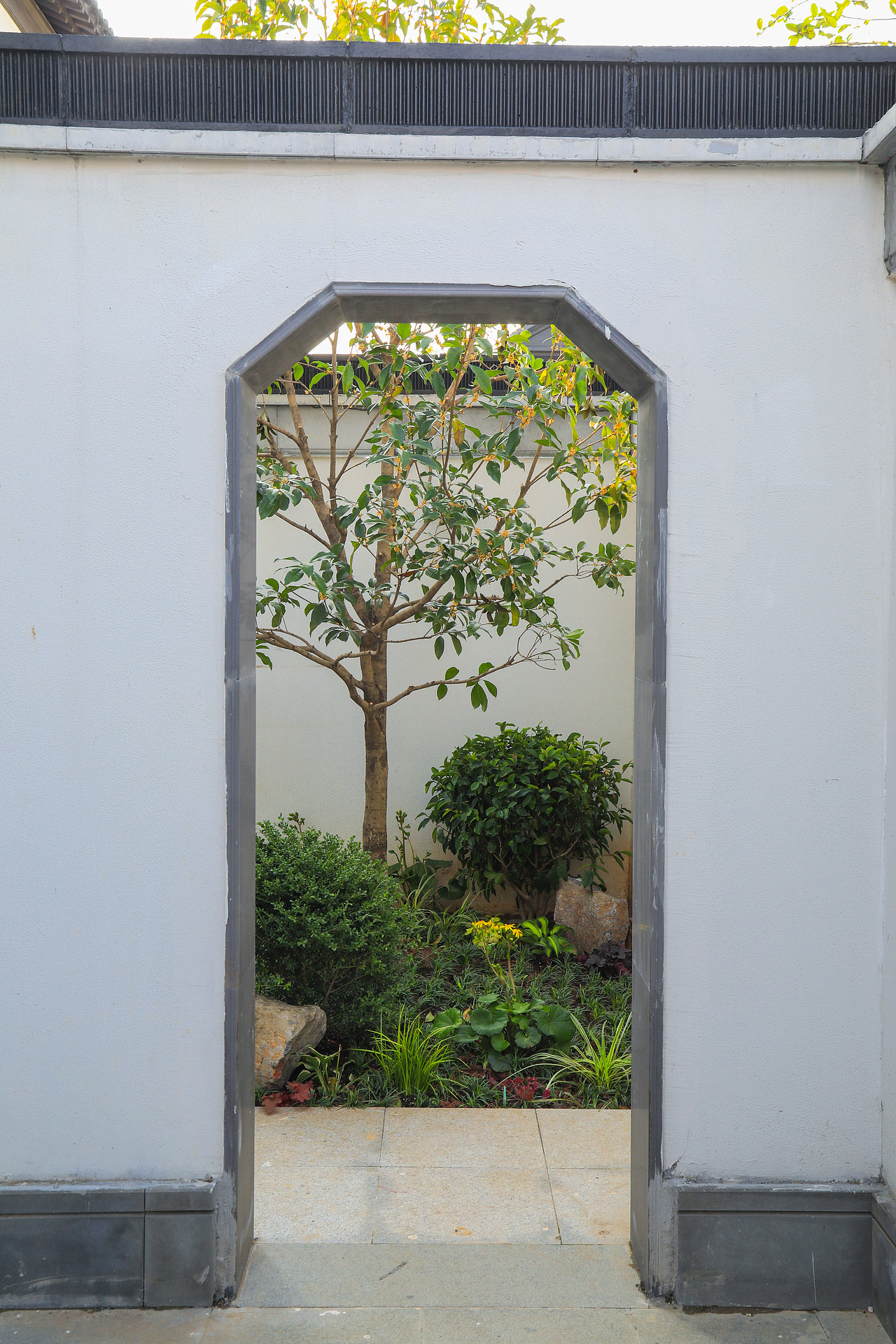 园林景观摄影广告拍摄建筑环境拍摄别墅室内拍照风景