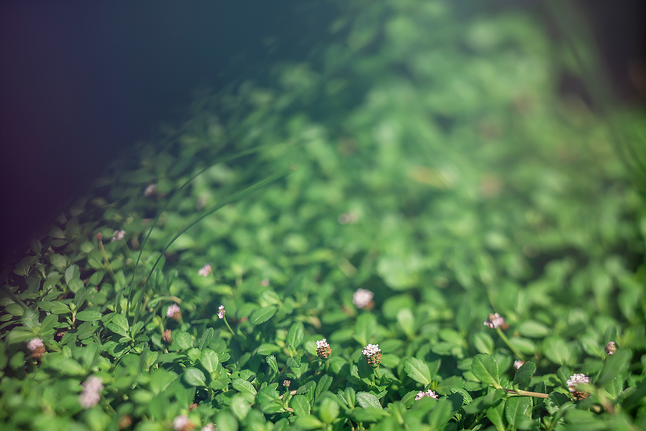 《要有光》（图ZMzA5OTYyNjU2） - 风光摄影 - 站酷设计师Alex1205原创素材 - 站酷ZCOOL