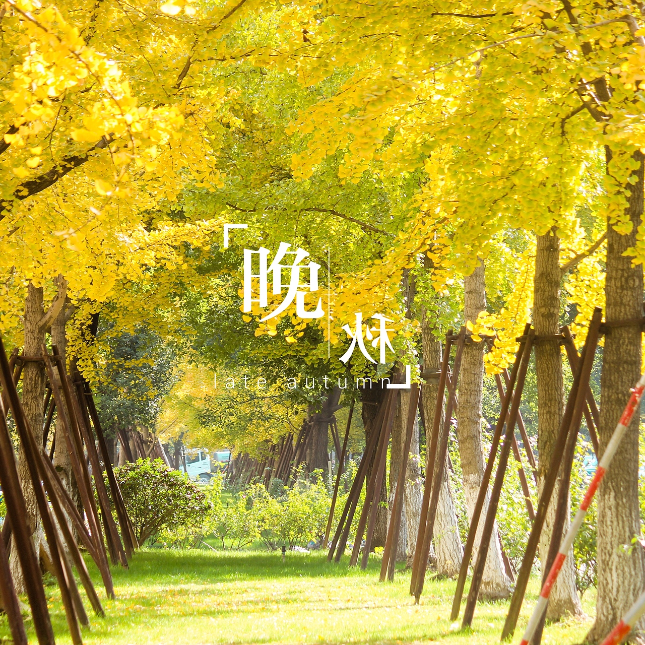 初冬（图ZOTg2NjQyODQ=） - 风光摄影 - 站酷设计师zhangchunlan2016原创素材 - 站酷ZCOOL