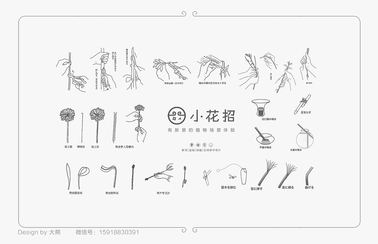 小花招品牌全案设计