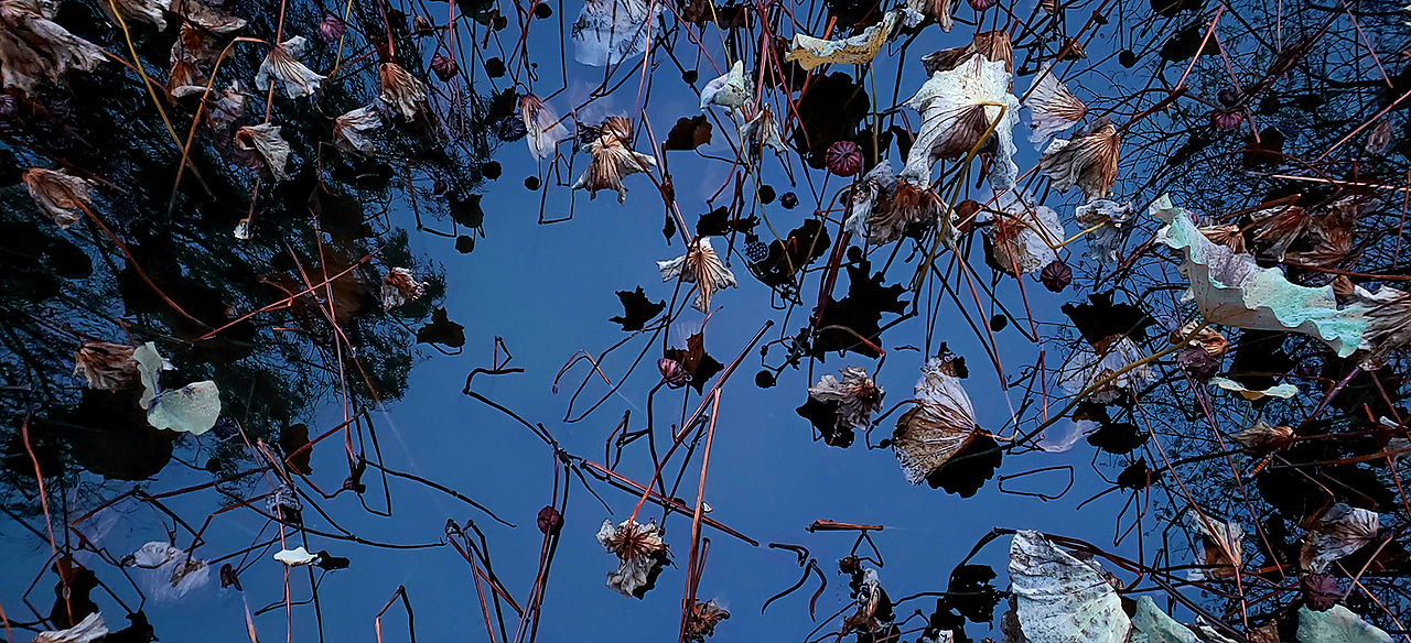 《韵·杭州》（图ZMTY4OTY4ODg4） - 人文/纪实摄影 - 站酷设计师大脸夏夏子原创素材 - 站酷ZCOOL