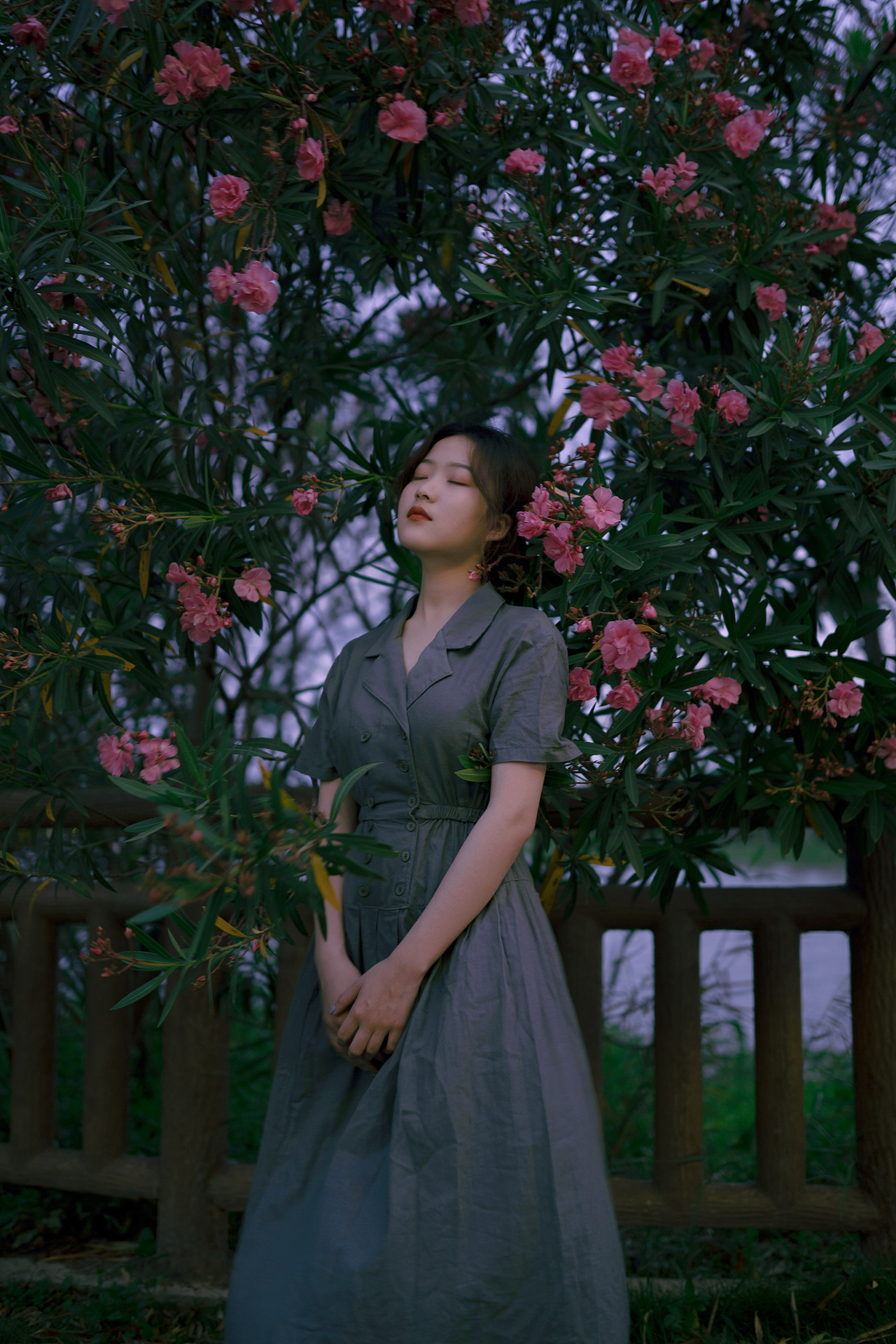 夹竹桃花开（图ZMjIzMjI2MjU2） - 人像摄影 - 站酷设计师POKYUIE原创素材 - 站酷ZCOOL