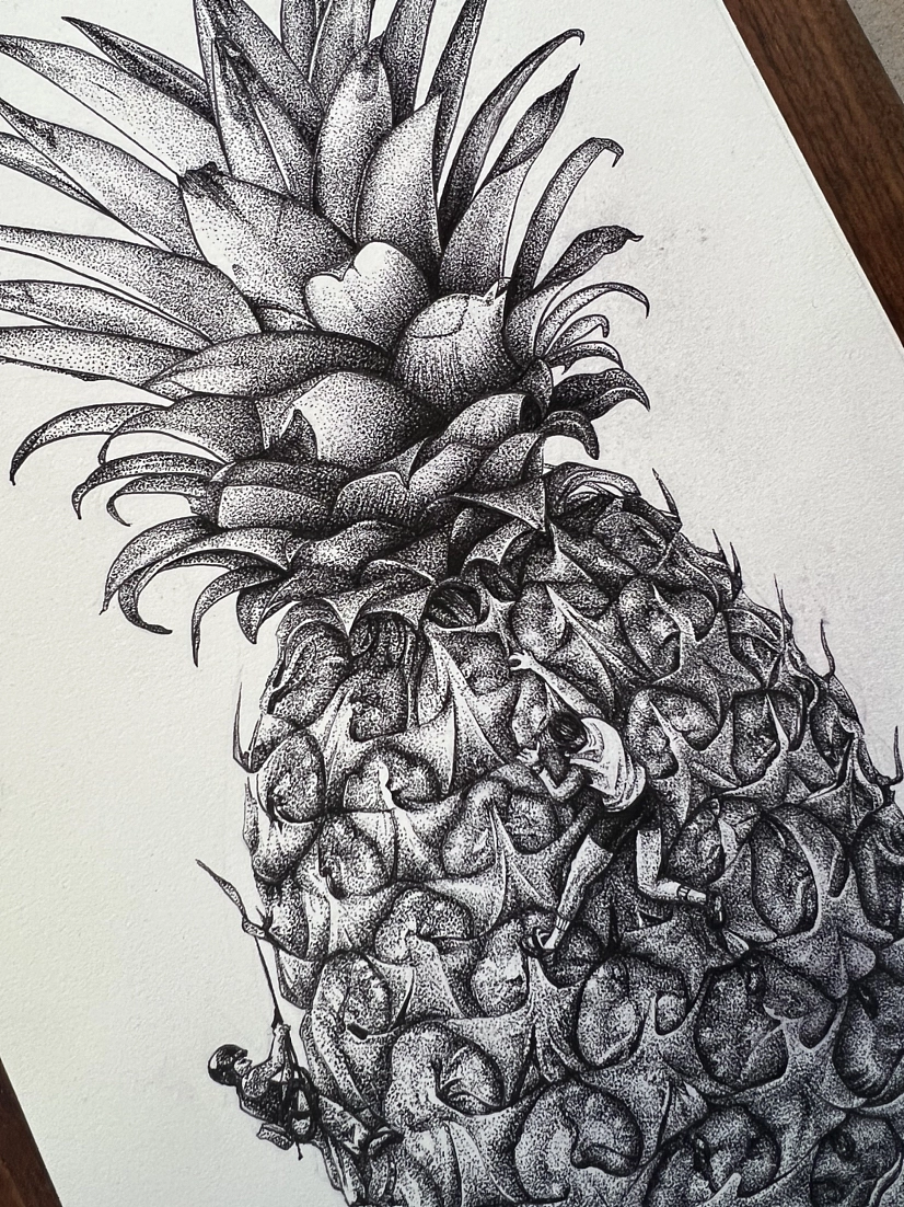 钢笔点绘——菠萝联想