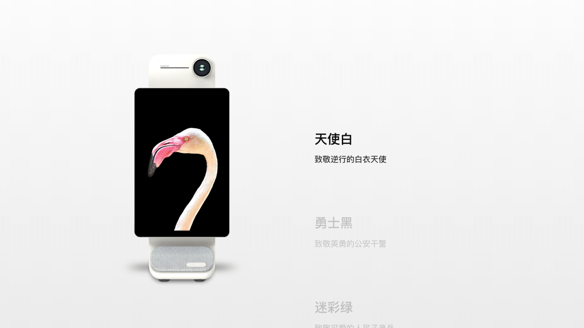 卡多希x佳简几何|直播行业新未来