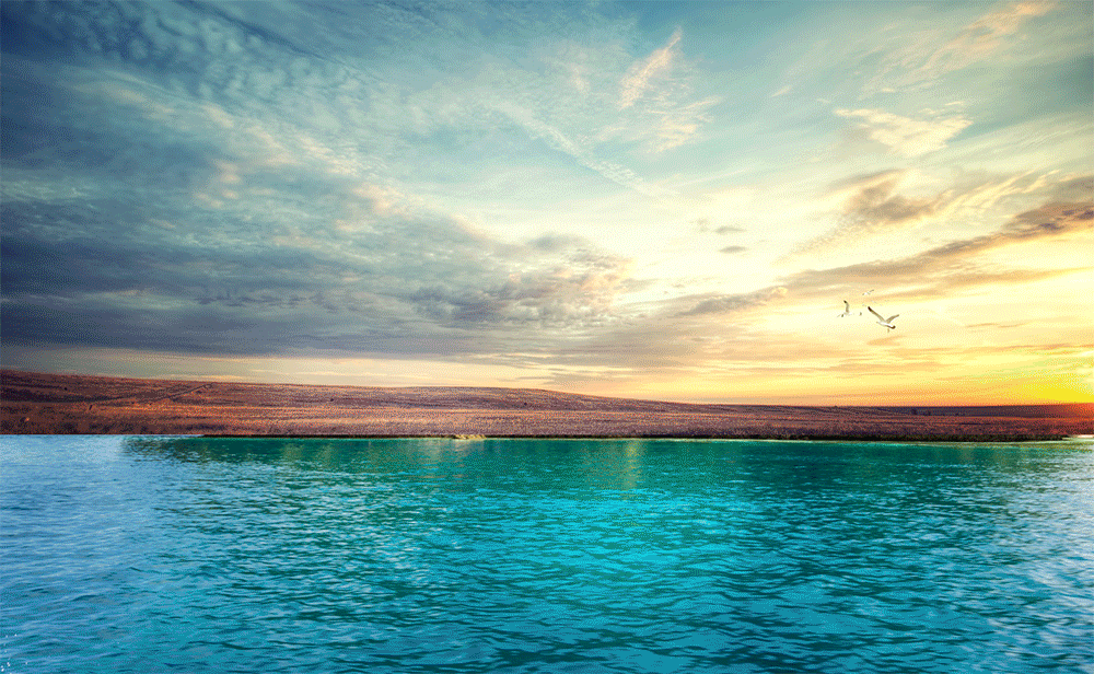 好久不见,海报来一波!