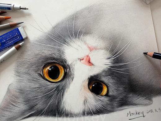 小猫