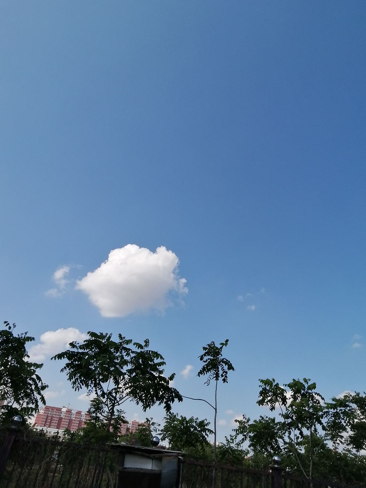 变幻莫测的天空之城