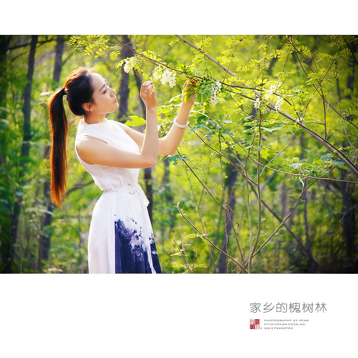 家乡的槐树林（图ZMTU4ODMxMDQ=） - 人像摄影 - 站酷设计师pear1103原创素材 - 站酷ZCOOL