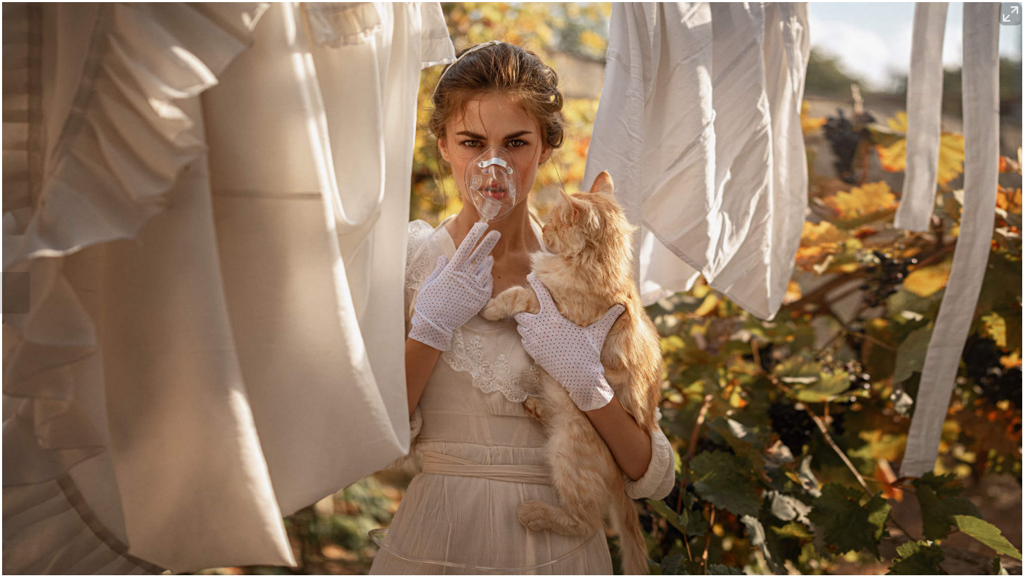 暖暖yaa的个人主页（封面预览） - 主页封面设置 - 站酷设计师暖暖yaa原创素材 - 站酷ZCOOL