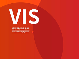 VIS手册