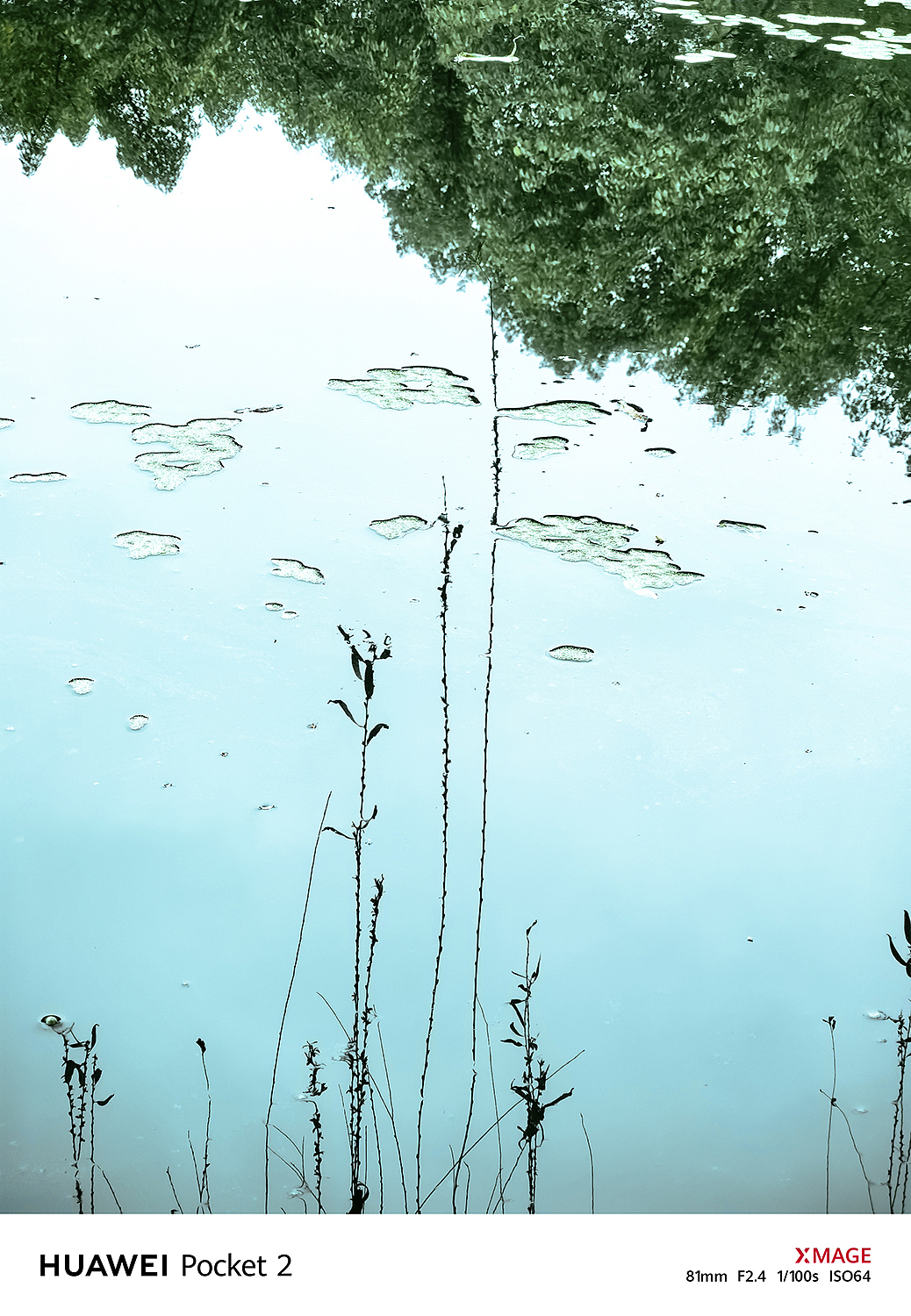 在春风里，树影倒映在水中，勾勒出一幅幅优美的图案