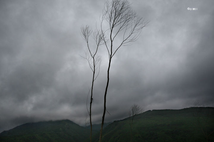 Leslieeeee的個(gè)人主頁(yè)（背景預(yù)覽） - 主頁(yè)背景設(shè)置 - 站酷設(shè)計(jì)師Leslieeeee原創(chuàng)素材 - 站酷ZCOOL