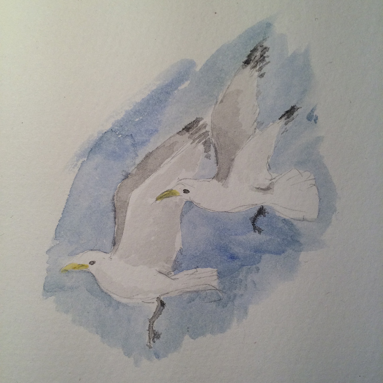 最近画的一些水彩