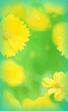 那些年我们用过的像素QQ秀（场景）