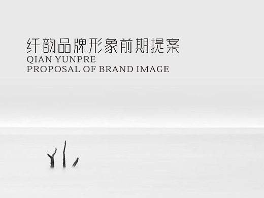 产后标志设计提案