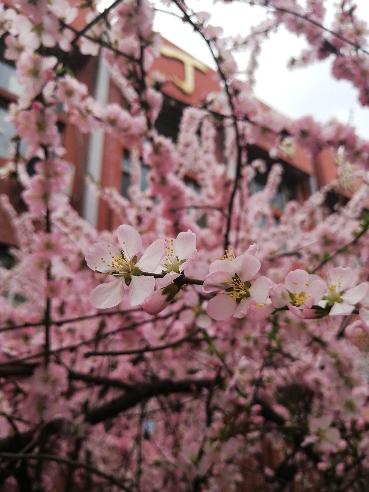 映暖（图ZMjE5OTk2MTI4） - 产品摄影 - 站酷设计师YYyunan原创素材 - 站酷ZCOOL