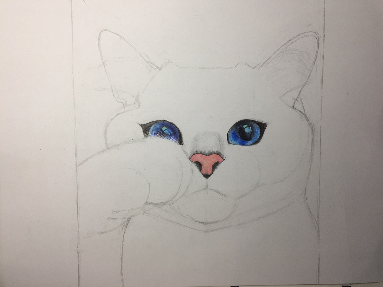彩铅——白猫