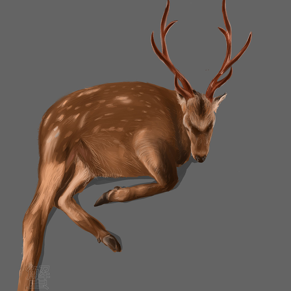 鹿|插画|创作习作|清蒸大螃蟹 - 原创作品 - 站酷 (zcool)