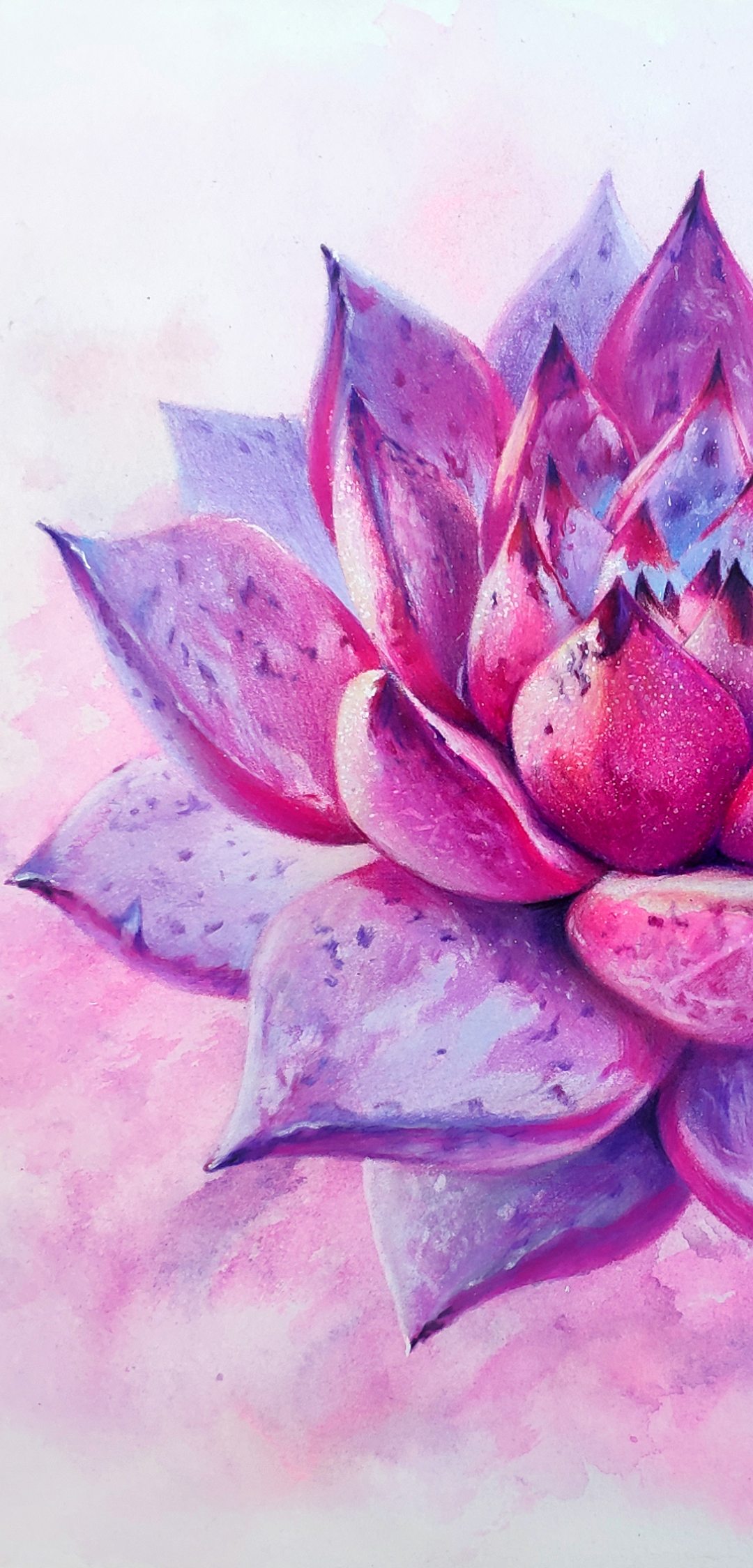 彩铅多肉|纯艺术|绘画|马行画彩铅 - 原创作品 - 站酷 (zcool)