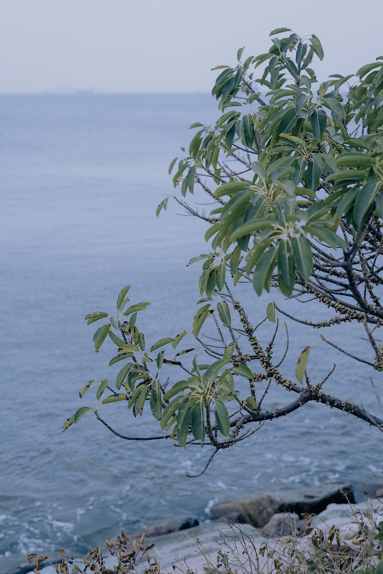 Photo by Xurr（图ZMjYwMDY2NjY4） - 风光摄影 - 站酷设计师xurr原创素材 - 站酷ZCOOL