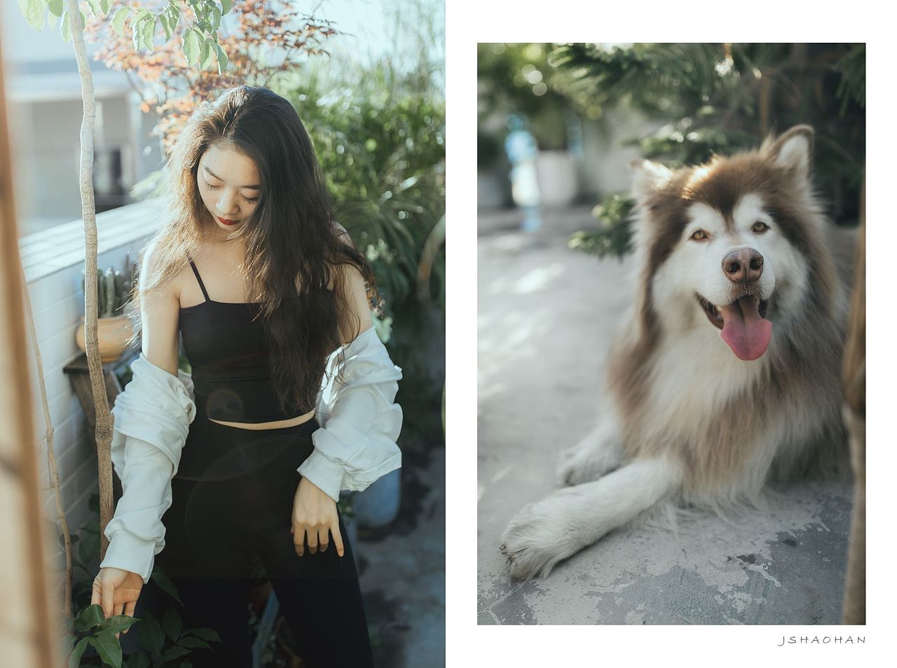 转阴后，晒太阳，大模带着她的🐶来看我（图ZMzI3NzYzMjQ4） - 人像摄影 - 站酷设计师蒋少寒原创素材 - 站酷ZCOOL