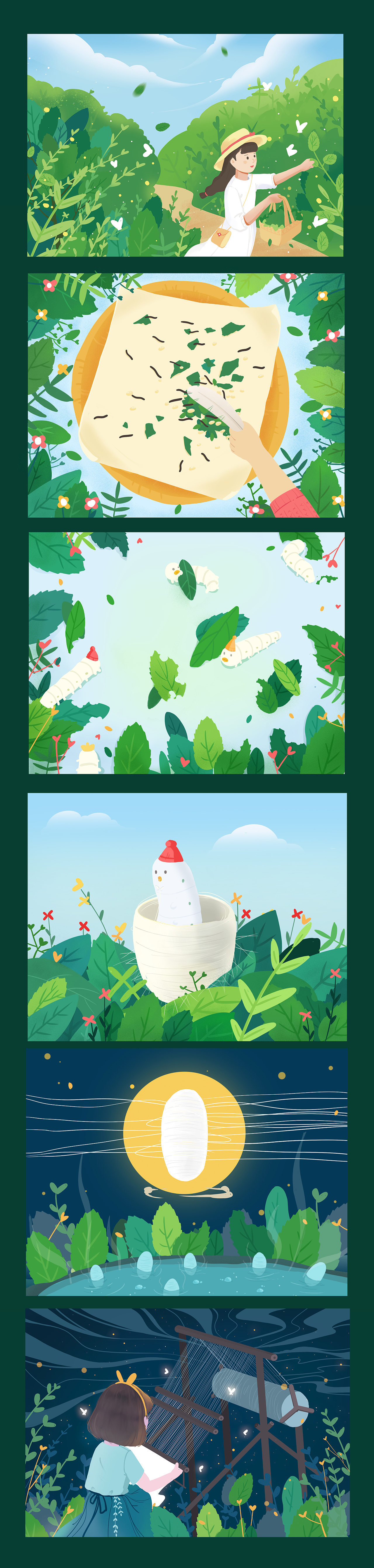 养蚕过程图（图ZMTU2NzMzNjE2） - 艺术插画 - 站酷设计师懒喵十六原创素材 - 站酷ZCOOL