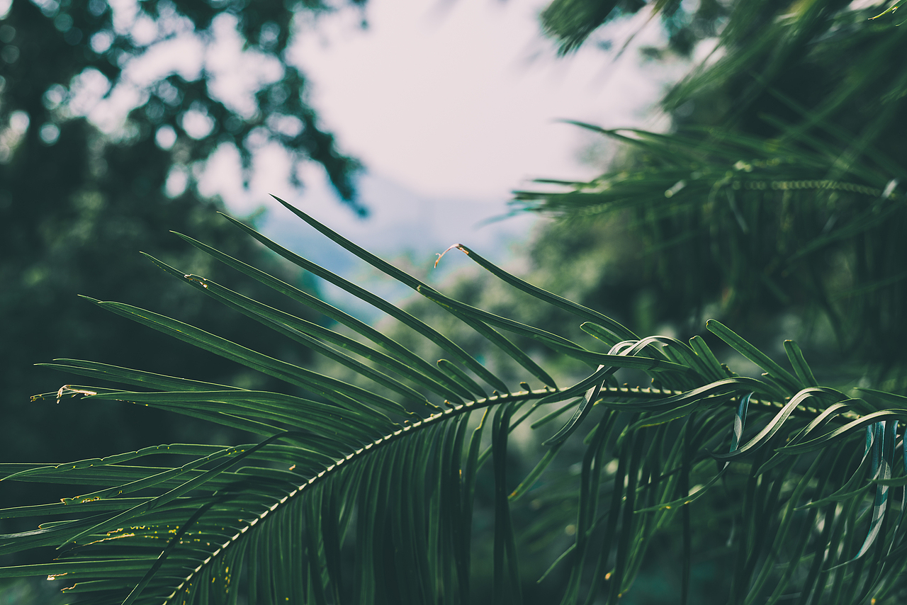 风景（图ZMTc5Mjg3NzM2） - 风光摄影 - 站酷设计师吼不吼原创素材 - 站酷ZCOOL