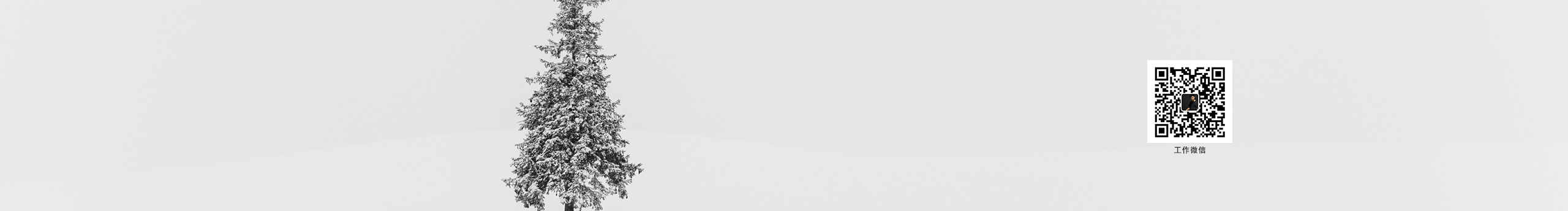 蘇州攝影TONGLE的個人主頁（封面預覽） - 主頁封面設置 - 站酷設計師蘇州攝影TONGLE原創(chuàng)素材 - 站酷ZCOOL