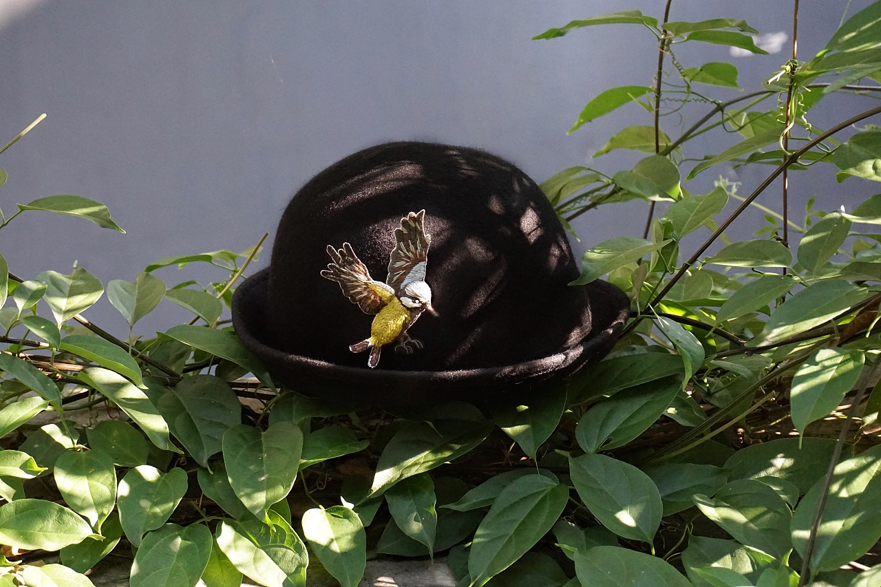 立体刺绣鸟装饰帽子