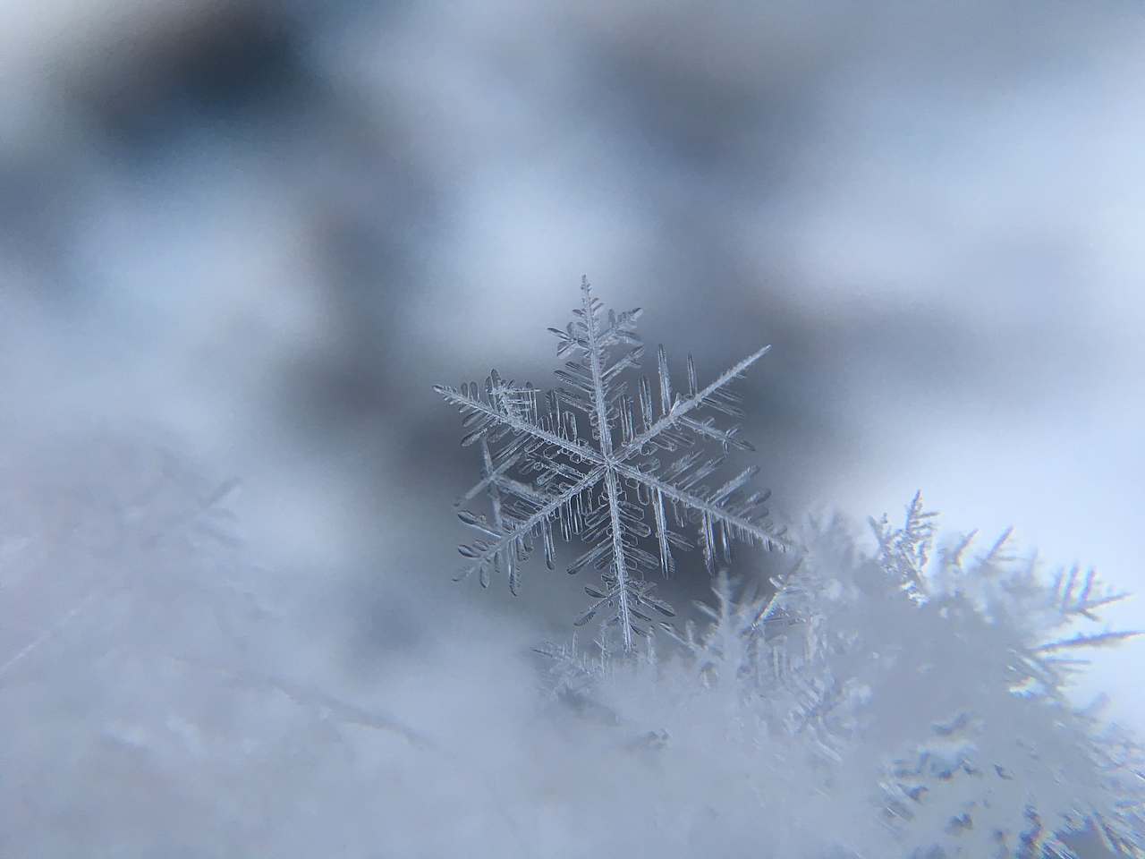 冬季·雪景