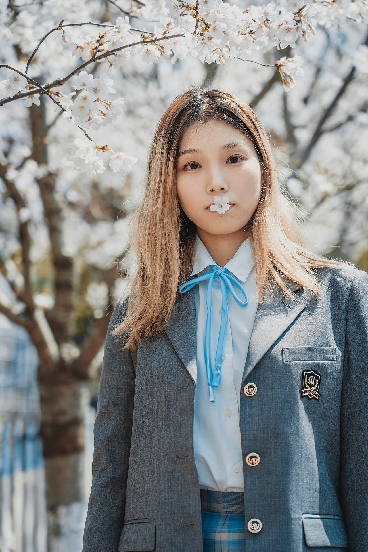 清明前最后的晚樱（图ZMzM2MDMzMjgw） - 人像摄影 - 站酷设计师EddardStark原创素材 - 站酷ZCOOL