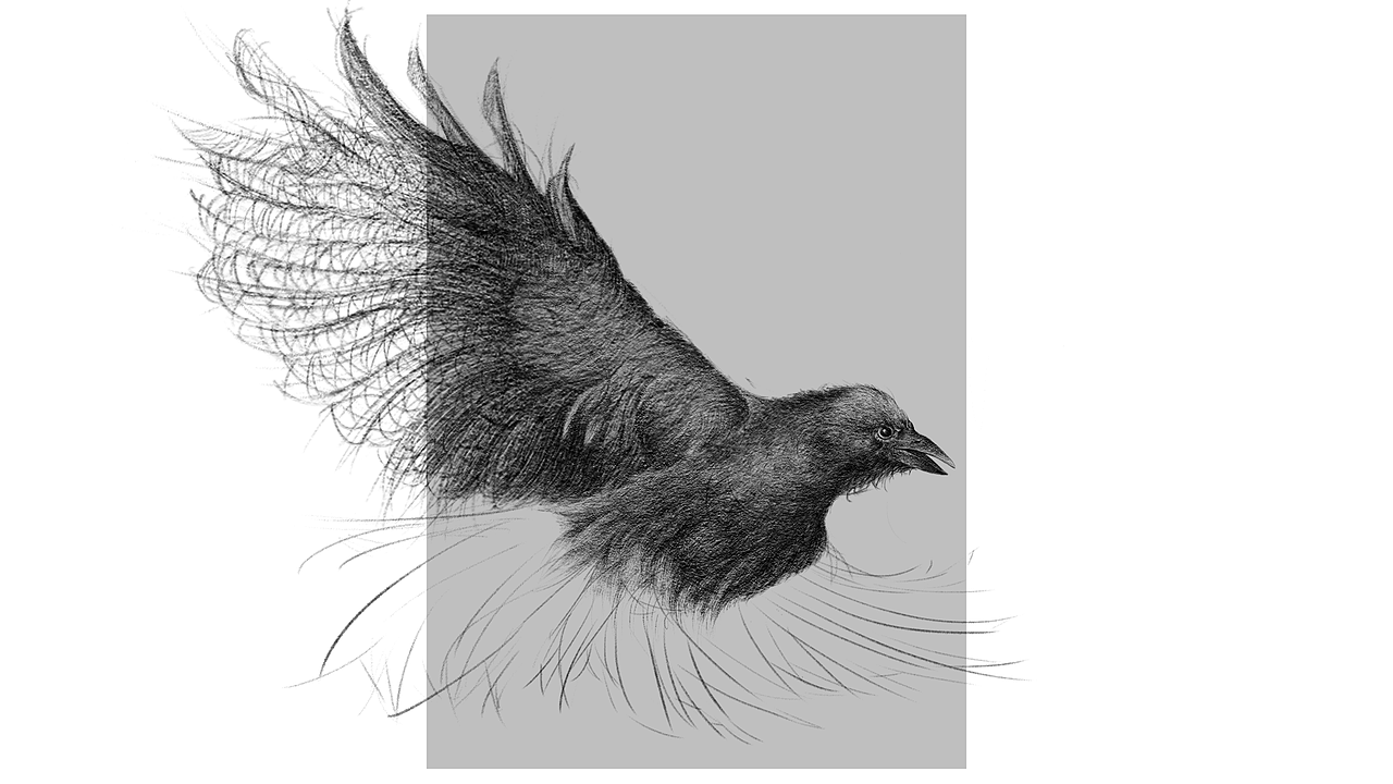 20190520进度记录