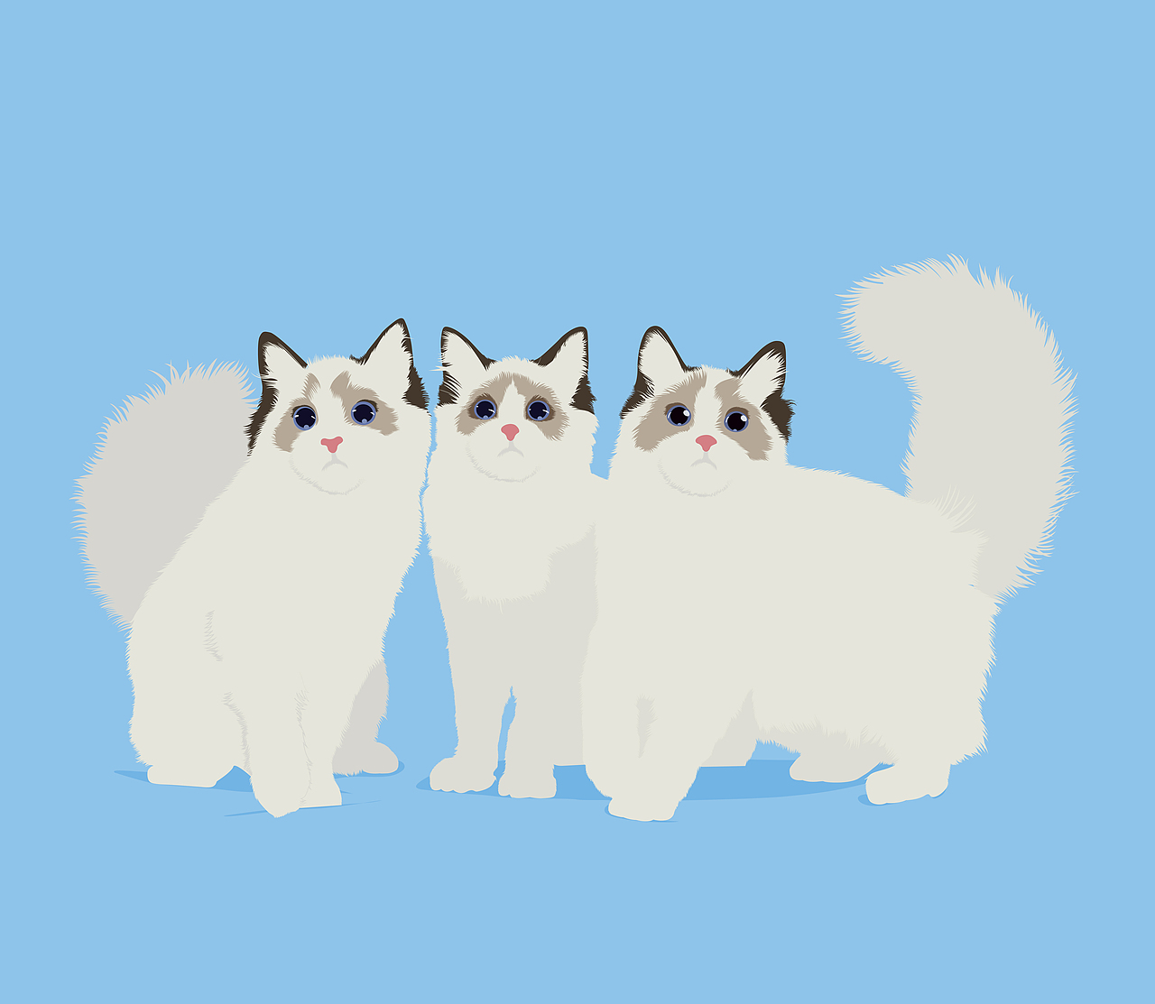 猫的语言（图ZMTkyNzM2MTI4） - 信息图表 - 站酷设计师风萧萧萧萧原创素材 - 站酷ZCOOL