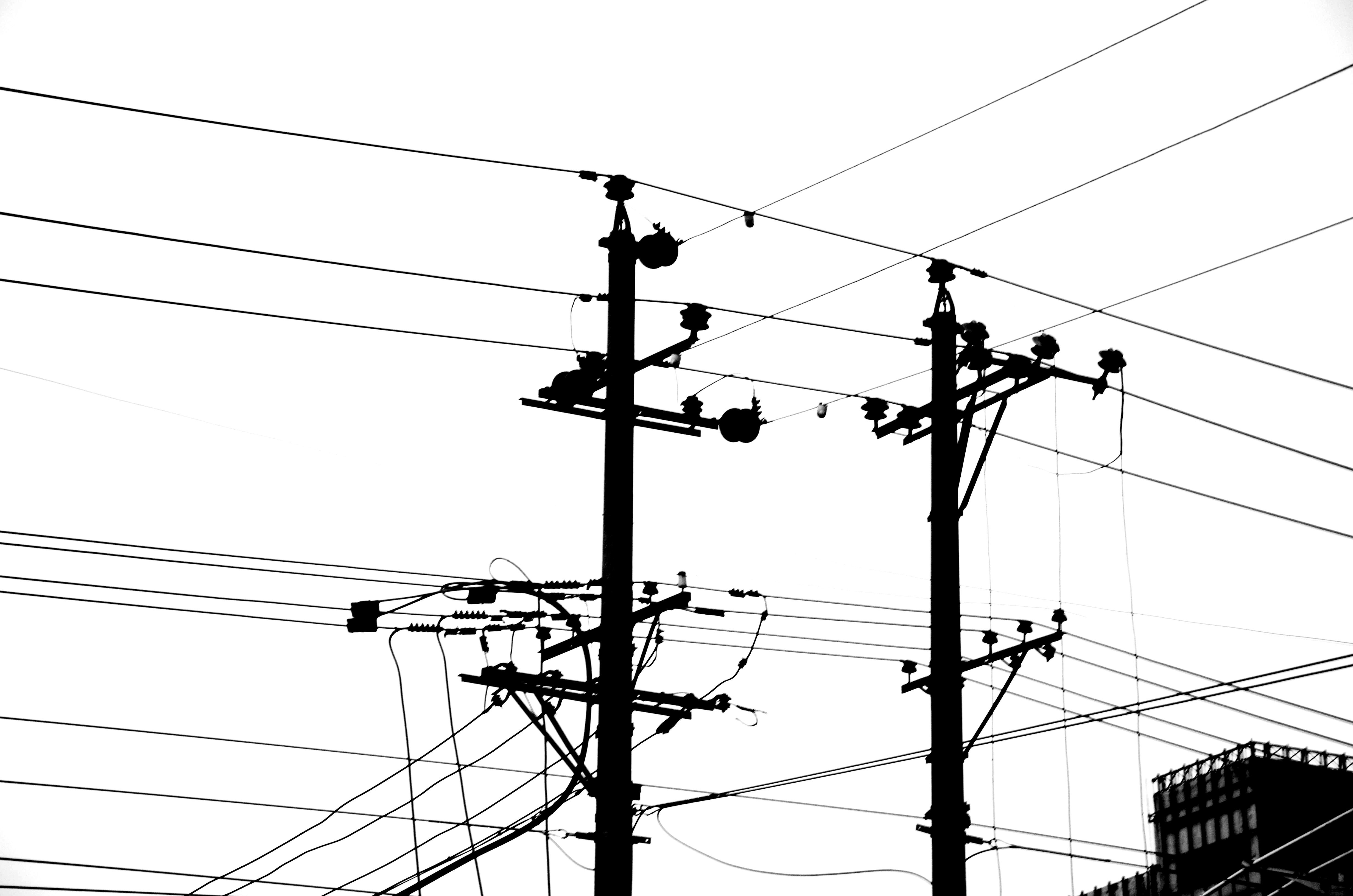 Angelinayou的个人主页（封面预览） - 主页封面设置 - 站酷设计师Angelinayou原创素材 - 站酷ZCOOL