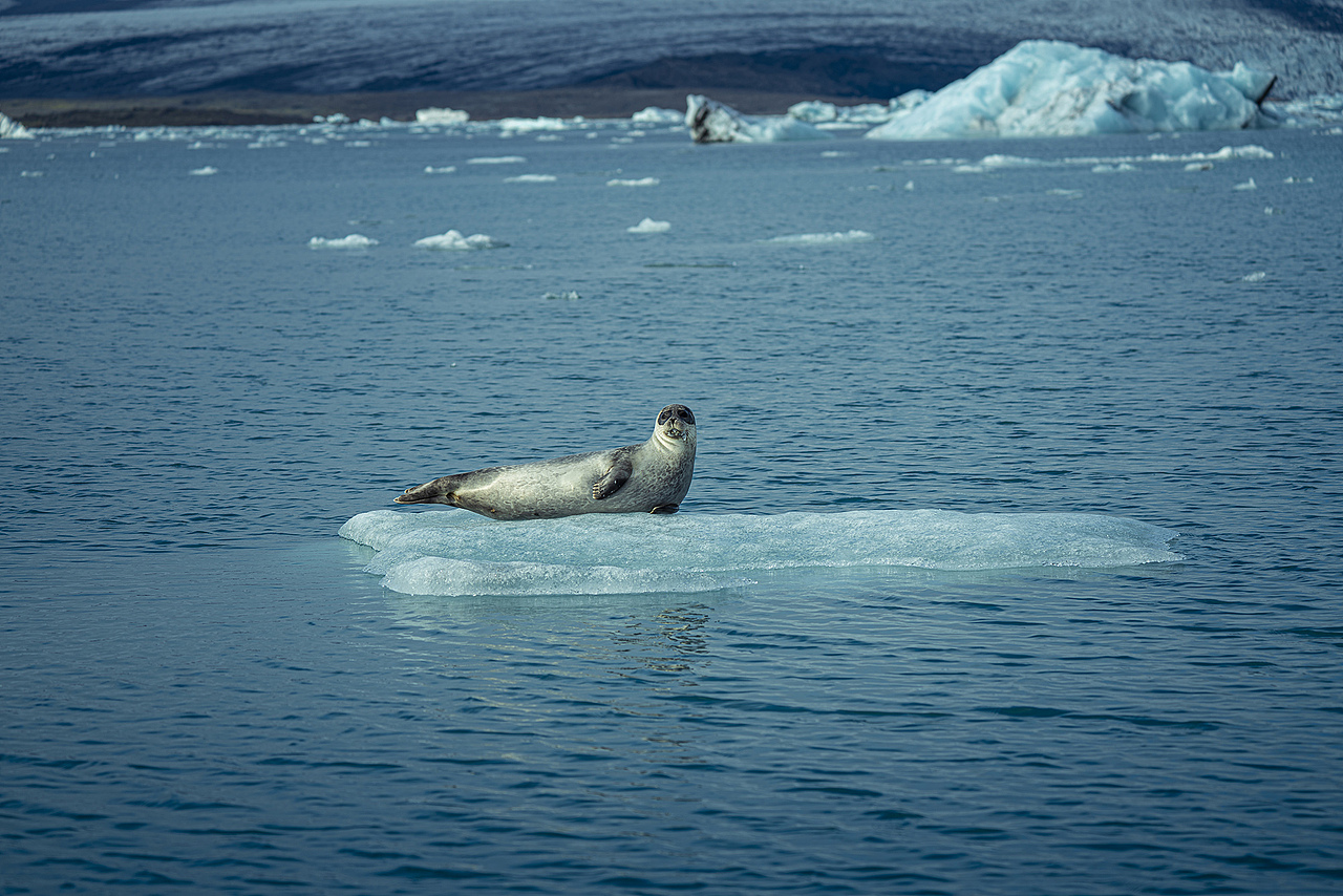 杰古沙龙冰河湖