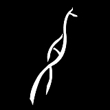 5HuaiR的头像