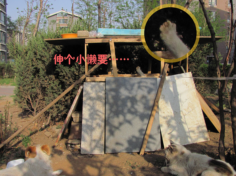 我结交了一群新朋友（图ZMjc2MjE1MDA=） - 文案/策划 - 站酷设计师画师x如也原创素材 - 站酷ZCOOL