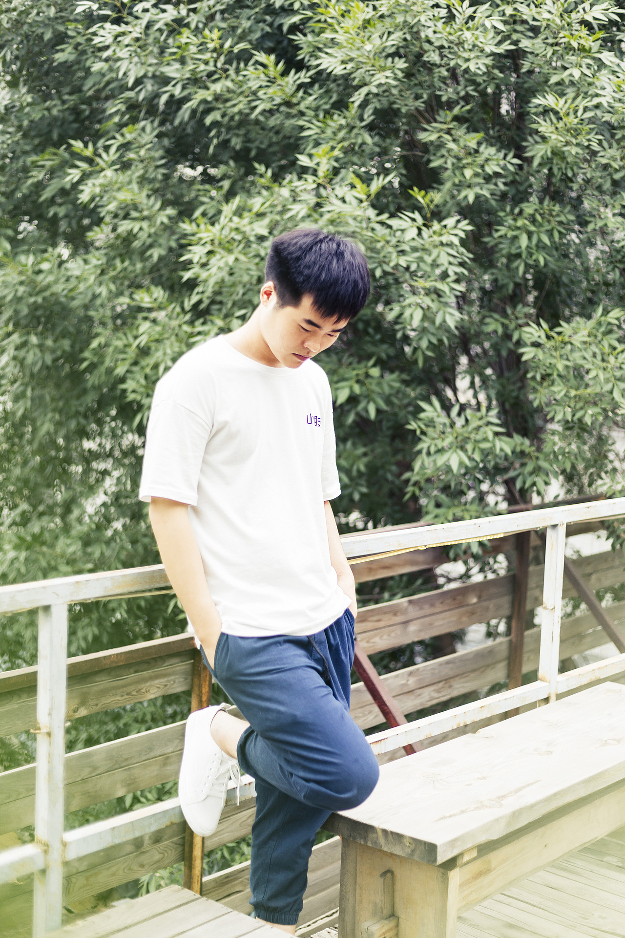 一只唱歌的小哥哥